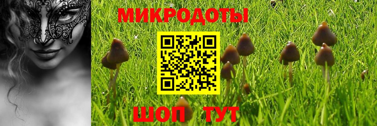 Галлюциногенные грибы Psilocybine cubensis Гусев