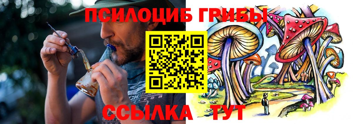 Гусев  Псилоцибиновые грибы мухоморы  Вход с VPN 